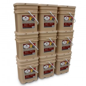 Wise 1080 Serving Freeze Dried Fruit Snack Combo Pack
