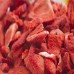 Wise 1080 Serving Freeze Dried Fruit Snack Combo Pack